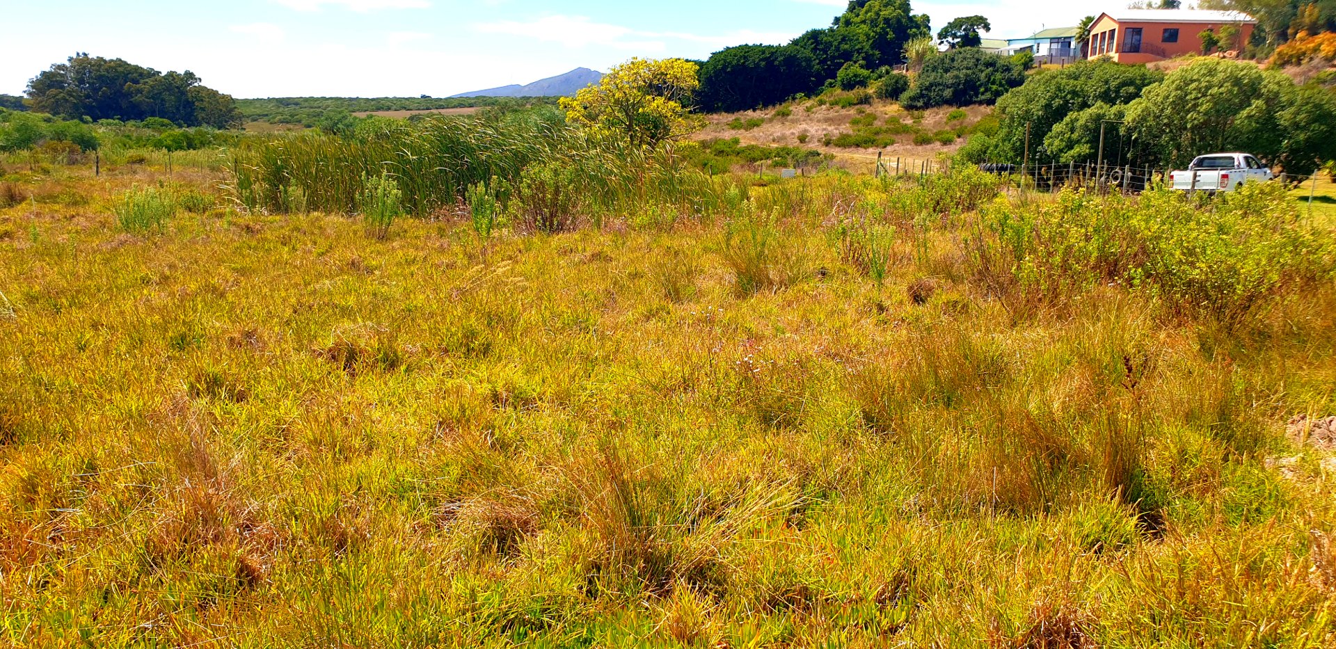  Bedroom Property for Sale in Albertinia Western Cape
